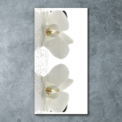 Cuadro decorativo en acrílico brillante vertical Orquídea y piedras