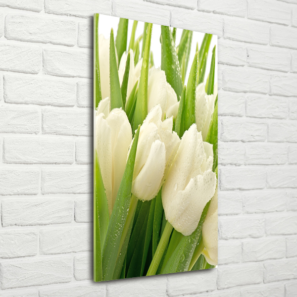 Cuadro de metacrilato vertical tulipanes blancos