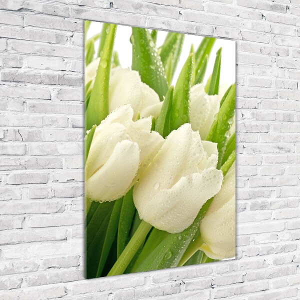 Cuadro de metacrilato vertical tulipanes blancos