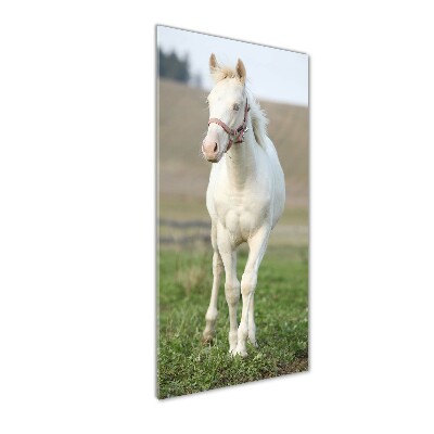 Cuadro de metacrilato moderno efecto cristal vertical Caballo albino
