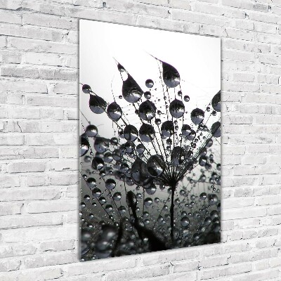 Cuadro decorativo en acrílico brillante vertical semillas de diente de león