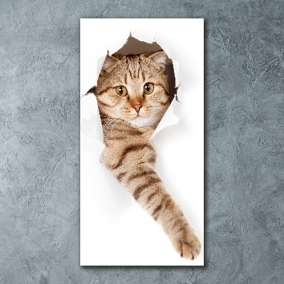 Cuadro decorativo en acrílico brillante vertical Gato