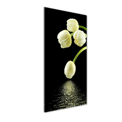 Impresión en metacrilato de alta calidad vertical tulipanes blancos