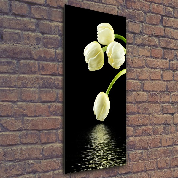 Impresión en metacrilato de alta calidad vertical tulipanes blancos