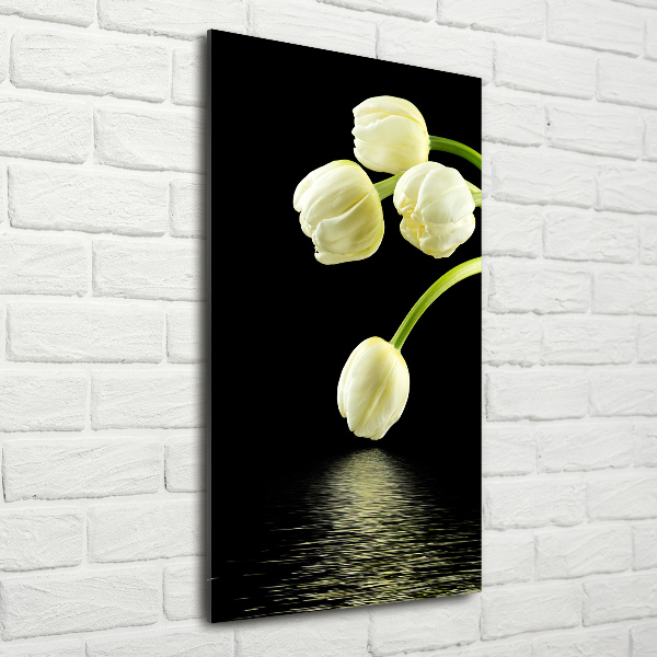 Impresión en metacrilato de alta calidad vertical tulipanes blancos