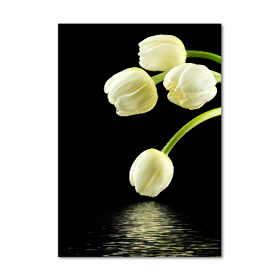 Impresión en metacrilato de alta calidad vertical tulipanes blancos