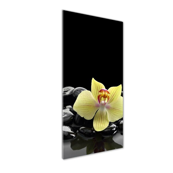 Cuadro decorativo en acrílico brillante vertical Orquídea y piedras
