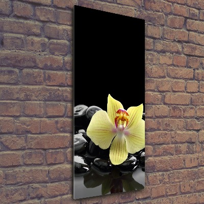 Cuadro decorativo en acrílico brillante vertical Orquídea y piedras