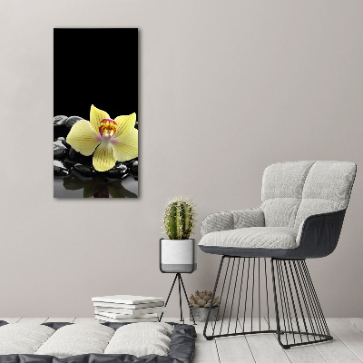 Cuadro decorativo en acrílico brillante vertical Orquídea y piedras