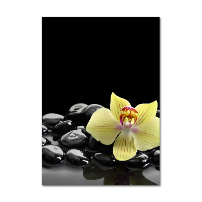 Cuadro decorativo en acrílico brillante vertical Orquídea y piedras