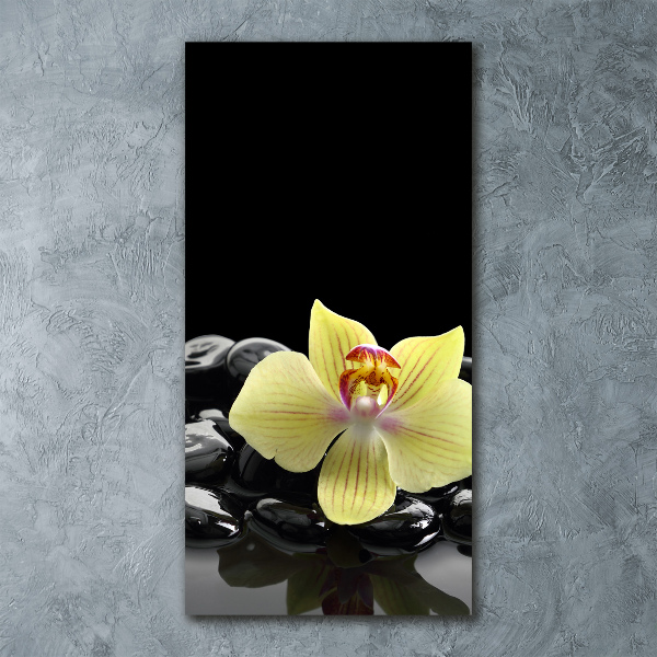 Cuadro decorativo en acrílico brillante vertical Orquídea y piedras