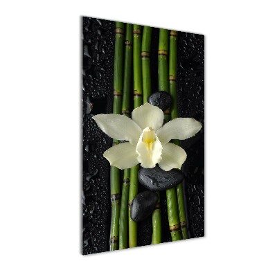 Cuadro decorativo en acrílico brillante vertical Orquídea y bambú