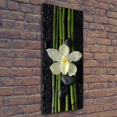 Cuadro decorativo en acrílico brillante vertical Orquídea y bambú