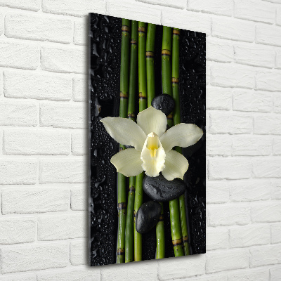 Cuadro decorativo en acrílico brillante vertical Orquídea y bambú