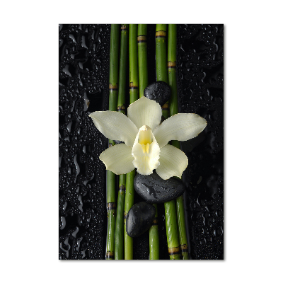Cuadro decorativo en acrílico brillante vertical Orquídea y bambú