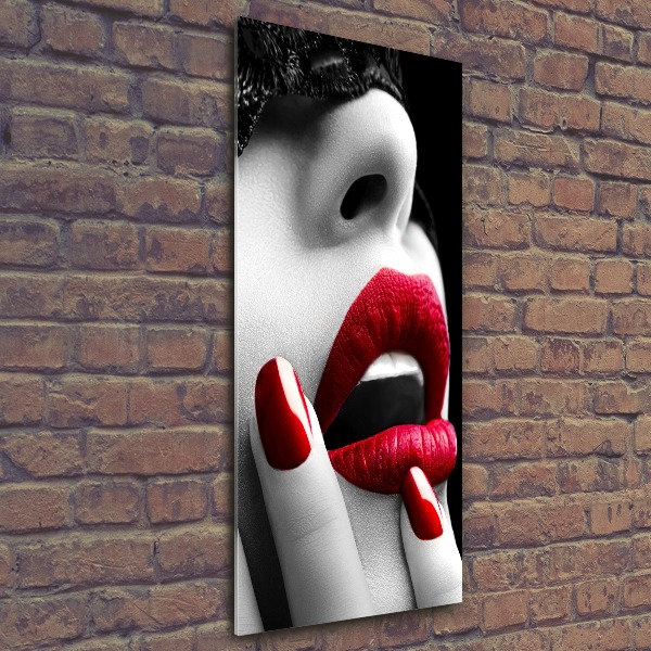 Cuadro de metacrilato vertical Máscara de encaje