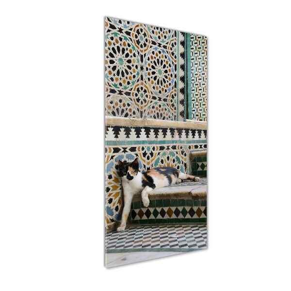 Cuadro de metacrilato moderno efecto cristal vertical Un gato en Marruecos