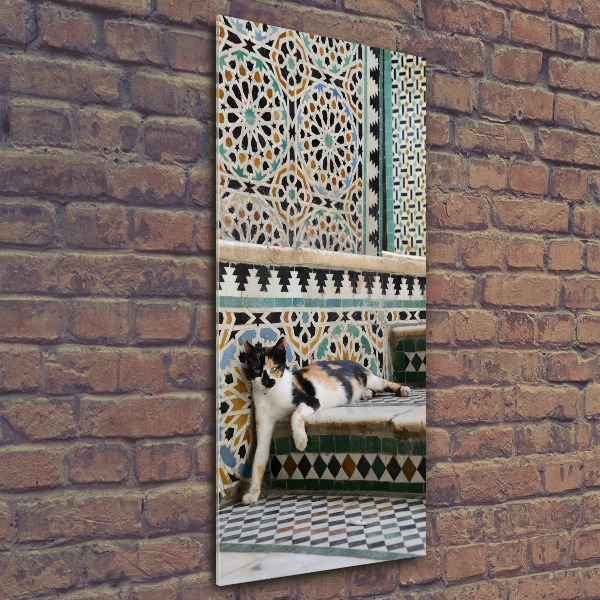 Cuadro de metacrilato moderno efecto cristal vertical Un gato en Marruecos