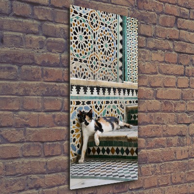 Cuadro de metacrilato moderno efecto cristal vertical Un gato en Marruecos