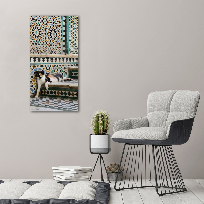 Cuadro de metacrilato moderno efecto cristal vertical Un gato en Marruecos