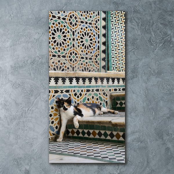 Cuadro de metacrilato moderno efecto cristal vertical Un gato en Marruecos