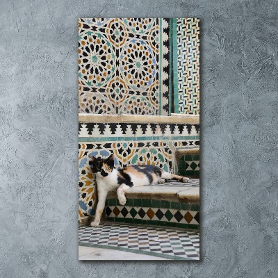 Cuadro de metacrilato moderno efecto cristal vertical Un gato en Marruecos