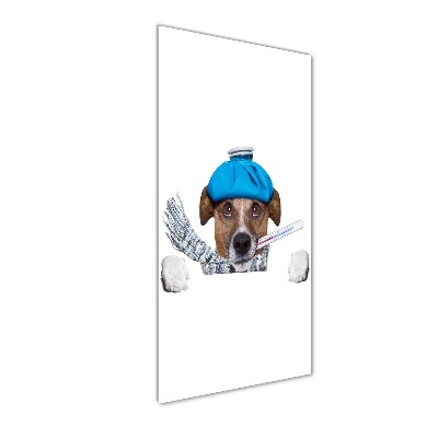 Cuadro de metacrilato moderno efecto cristal vertical perro enfermo