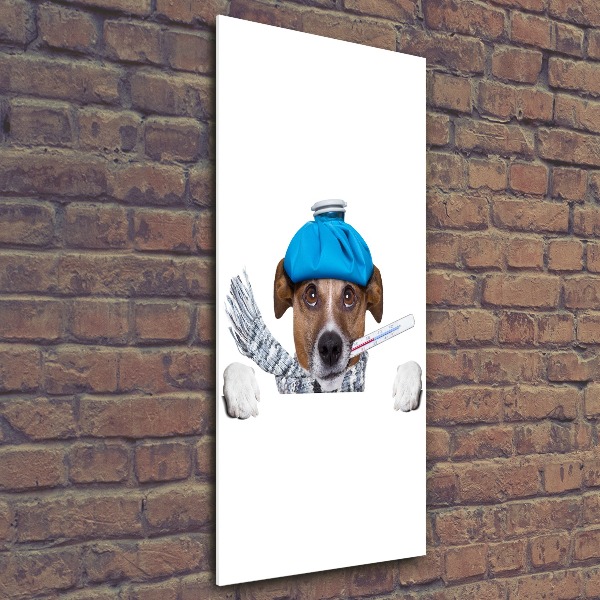 Cuadro de metacrilato moderno efecto cristal vertical perro enfermo