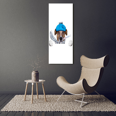 Cuadro de metacrilato moderno efecto cristal vertical perro enfermo