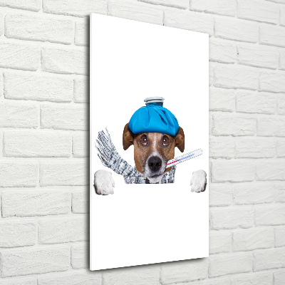 Cuadro de metacrilato moderno efecto cristal vertical perro enfermo