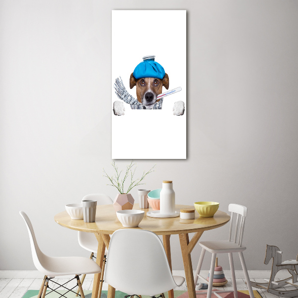 Cuadro de metacrilato moderno efecto cristal vertical perro enfermo