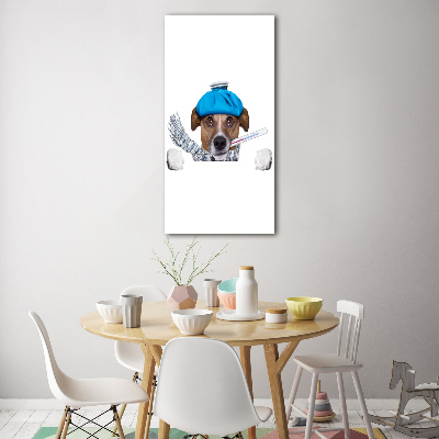 Cuadro de metacrilato moderno efecto cristal vertical perro enfermo