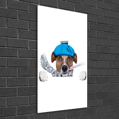 Cuadro de metacrilato moderno efecto cristal vertical perro enfermo