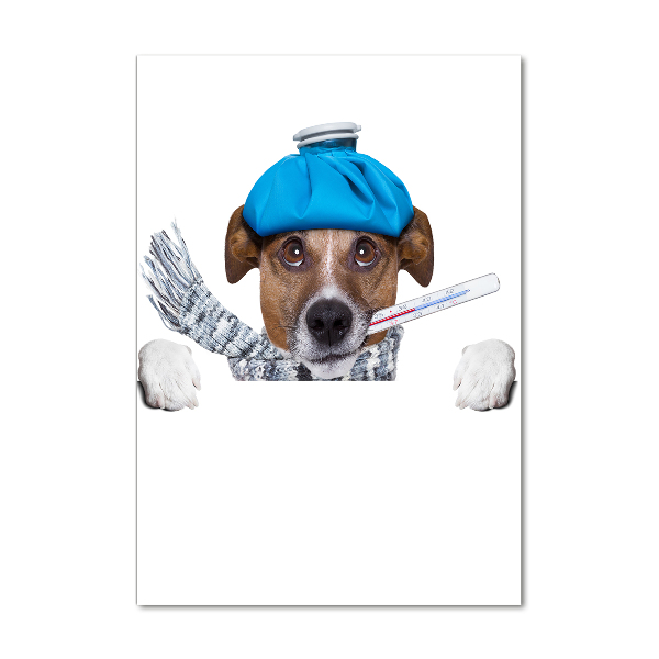 Cuadro de metacrilato moderno efecto cristal vertical perro enfermo