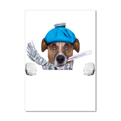 Cuadro de metacrilato moderno efecto cristal vertical perro enfermo