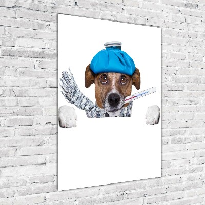 Cuadro de metacrilato moderno efecto cristal vertical perro enfermo