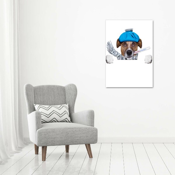 Cuadro de metacrilato moderno efecto cristal vertical perro enfermo