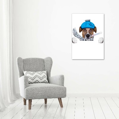 Cuadro de metacrilato moderno efecto cristal vertical perro enfermo