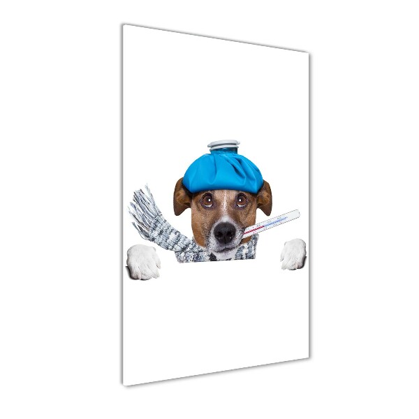 Cuadro de metacrilato moderno efecto cristal vertical perro enfermo