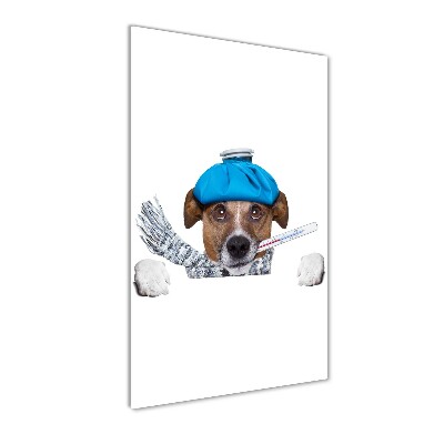 Cuadro de metacrilato moderno efecto cristal vertical perro enfermo
