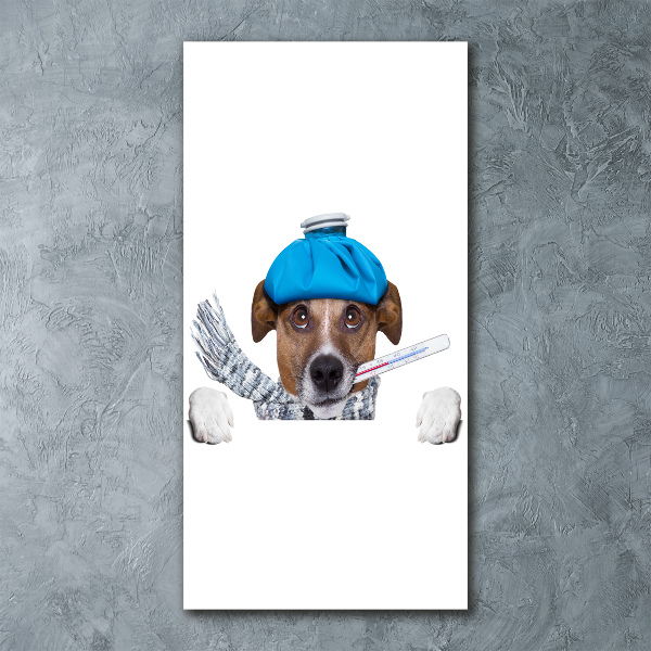 Cuadro de metacrilato moderno efecto cristal vertical perro enfermo