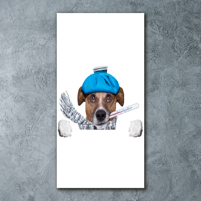 Cuadro de metacrilato moderno efecto cristal vertical perro enfermo
