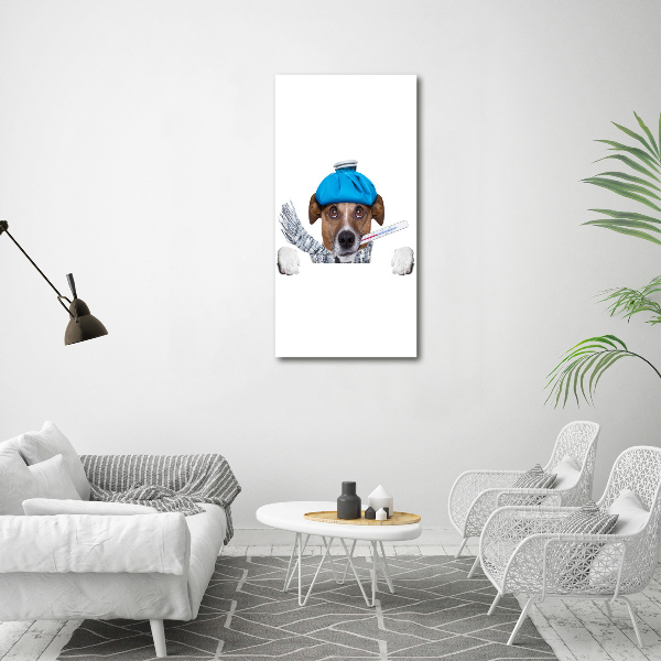 Cuadro de metacrilato moderno efecto cristal vertical perro enfermo