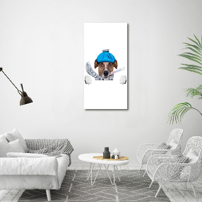 Cuadro de metacrilato moderno efecto cristal vertical perro enfermo