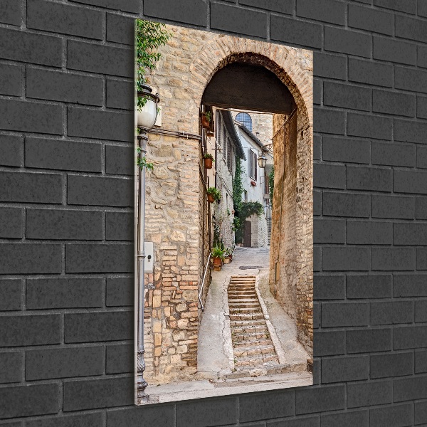 Cuadro decorativo en acrílico brillante vertical calles italianas