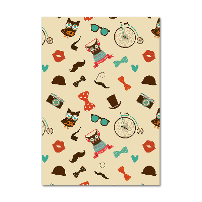 Obraz zdjęcie szkło akryl pionowy Sowa rower okulary