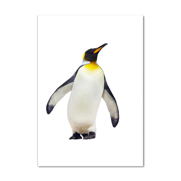Impresión en metacrilato de alta calidad vertical Pingüino