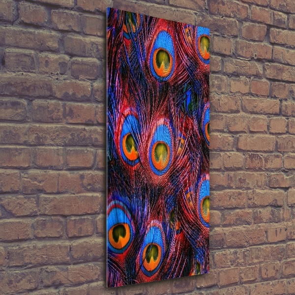 Impresión en metacrilato de alta calidad vertical plumas de pavo real
