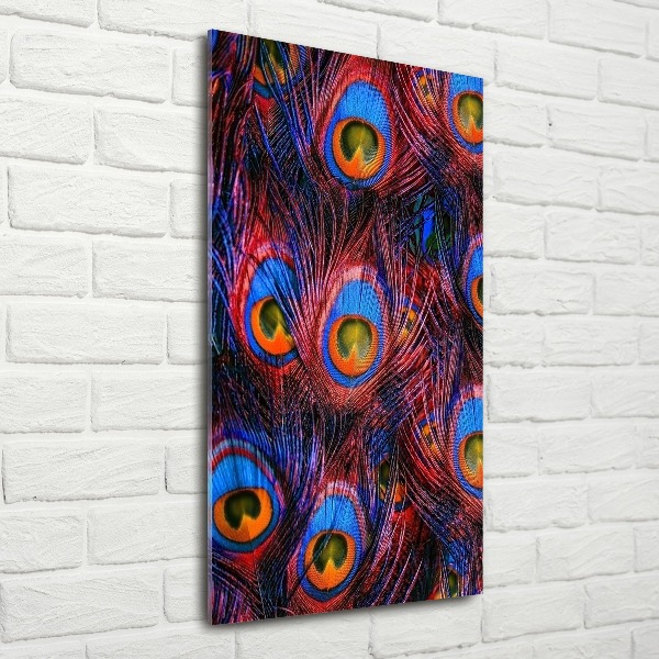 Impresión en metacrilato de alta calidad vertical plumas de pavo real