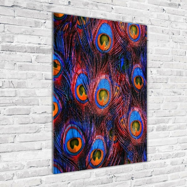 Impresión en metacrilato de alta calidad vertical plumas de pavo real